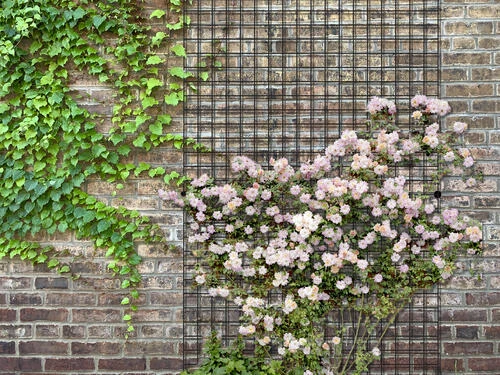 Yardworks 3' X 6' Black Welded Fence Panel 3 Yardworks 3' X 6' Black Welded Fence Panel - Image 3