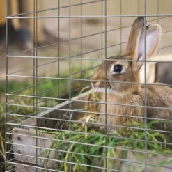 Yardworks 3'4" X 50' Galvanized Rabbit Guard Fence -Yardworks Sales Shop 17127153