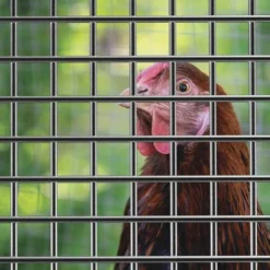 Yardworks 1/2" X 2' X 5' Galvanized Hardware Cloth -Yardworks Sales Shop 17131515