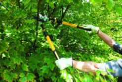Yardworks® Ratcheting Bypass Lopper With Telescopic Handles -Yardworks Sales Shop 2650117 scene2