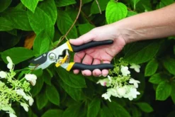 Yardworks® Bypass Pruner -Yardworks Sales Shop 2650118 scene1