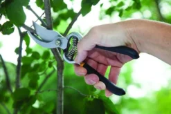 Yardworks® Bypass Pruner -Yardworks Sales Shop 2650119 scene1