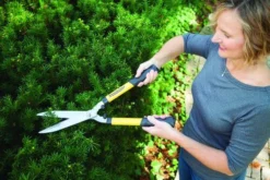 Yardworks® 8" Hedge Shears -Yardworks Sales Shop 2650120 scene1