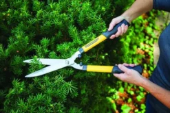 Yardworks® 8" Hedge Shears -Yardworks Sales Shop 2650120 scene2