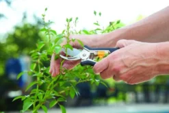 Yardworks Yarkworks® 2-Piece Bypass Pruner & Floral Shears Set -Yardworks Sales Shop 2650121 scene1