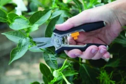 Yardworks Yarkworks® 2-Piece Bypass Pruner & Floral Shears Set -Yardworks Sales Shop 2650121 scene4