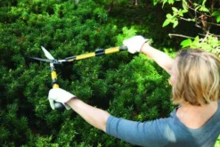 Yardworks® 10" Telescoping Hedge Shears 12 Yardworks® 10" Telescoping Hedge Shears -Yardworks Sales Shop 2650125 scene3