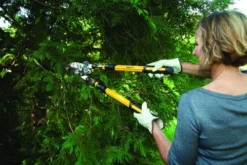 Yardworks® Ratcheting Anvil Lopper With Telescopic Handles -Yardworks Sales Shop 2650126 scene1