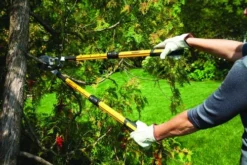 Yardworks® Ratcheting Anvil Lopper With Telescopic Handles -Yardworks Sales Shop 2650126 scene3