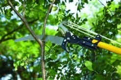 Yardworks® Telescoping Tree Pruner -Yardworks Sales Shop 2650127 scene1