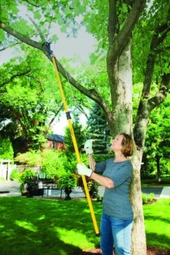 Yardworks® Telescoping Tree Pruner -Yardworks Sales Shop 2650127 scene2