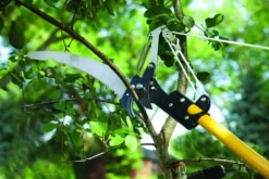 Yardworks® Telescoping Tree Pruner -Yardworks Sales Shop 2650127 scene4