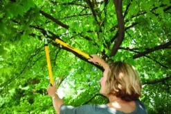 Yardworks® Bypass Lopper -Yardworks Sales Shop 2650129 scene1