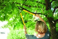 Yardworks® Bypass Lopper -Yardworks Sales Shop 2650129 scene2