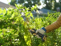 Yardworks™ 20-Volt Cordless Pruner -Yardworks Sales Shop 2673224 AP resize